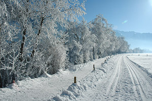 Фото Майрхофен. В хороший мороз в долине ложится снег и можно покататься на беговых лыжах